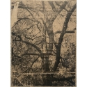 Ruines XIV