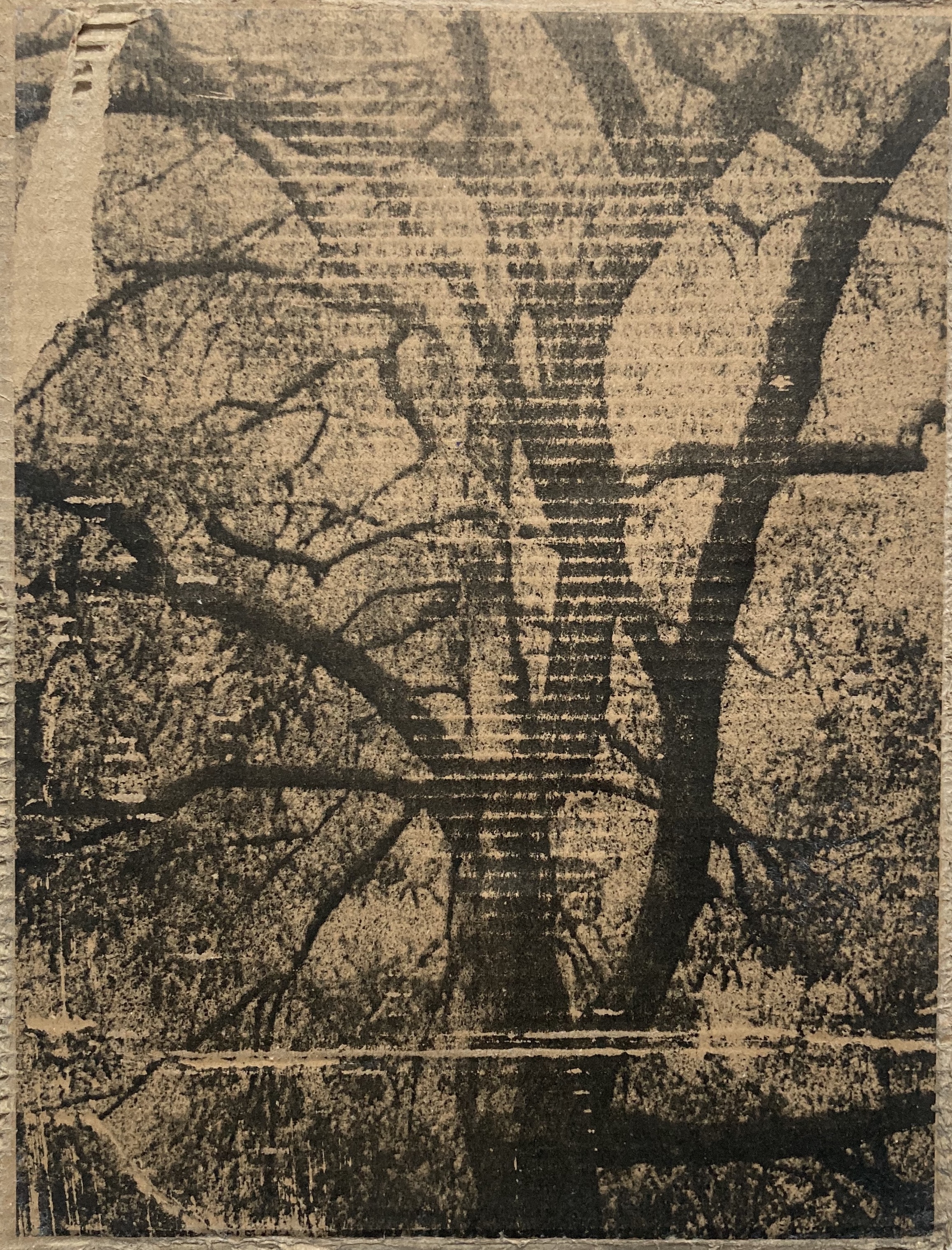Ruines XIV