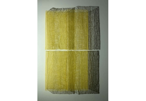 Furtifs instants VIII