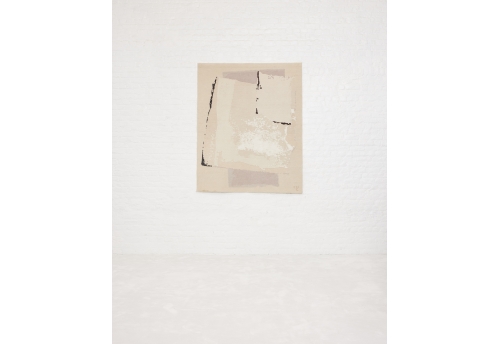 Rhizomes 3 White and vertical