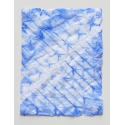 Petit Plié Bleu