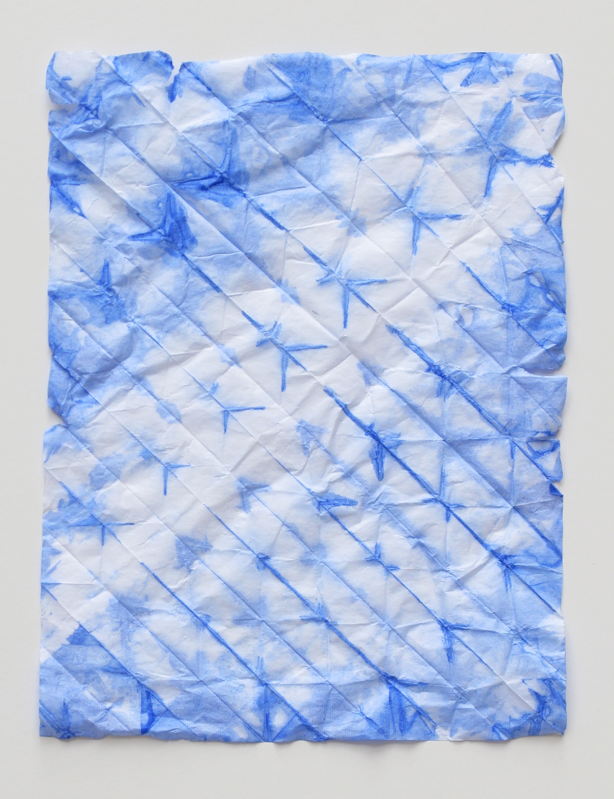 Petit Plié Bleu