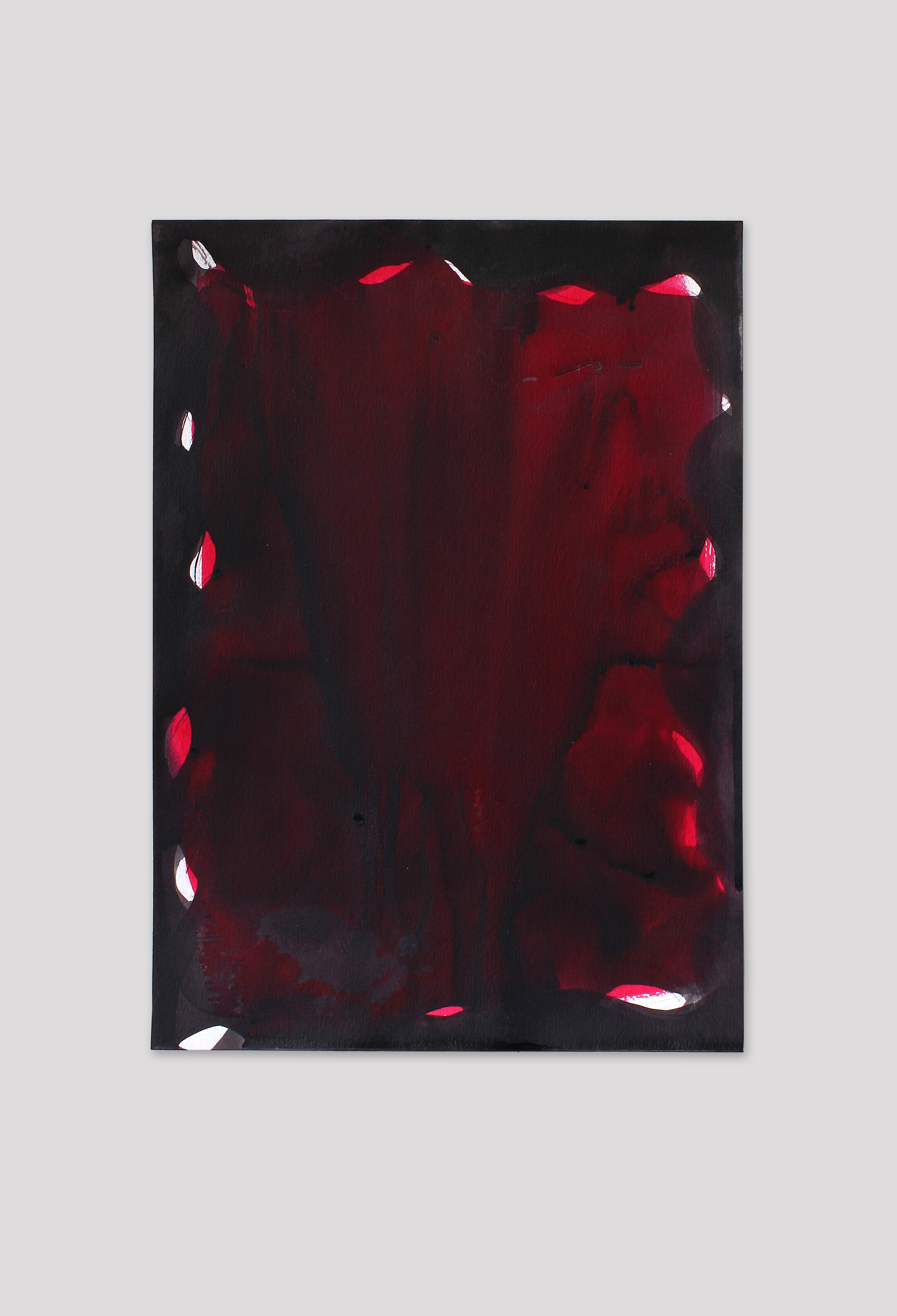 PP13