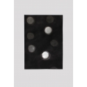 PP4