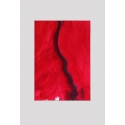 PP9