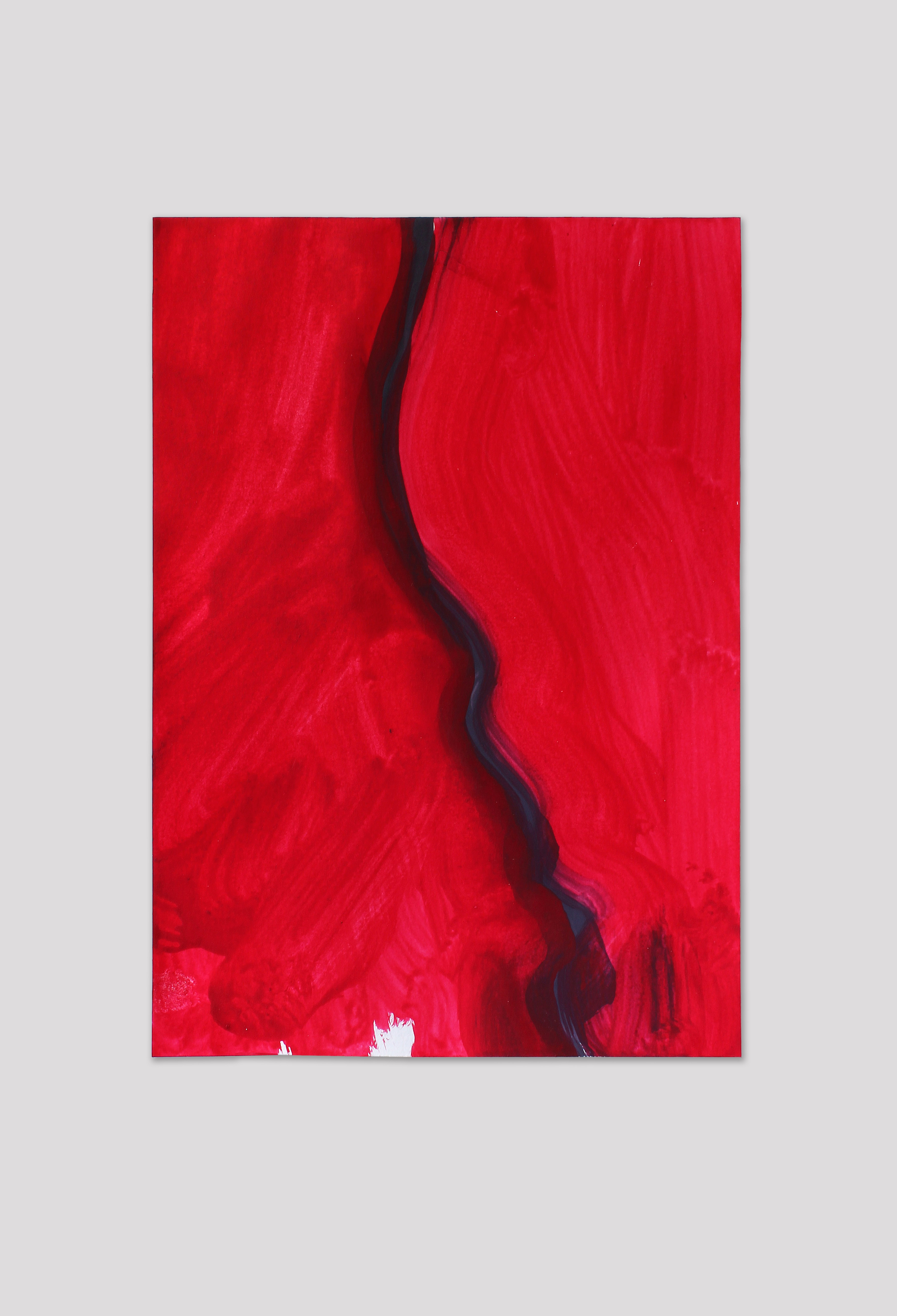 PP9