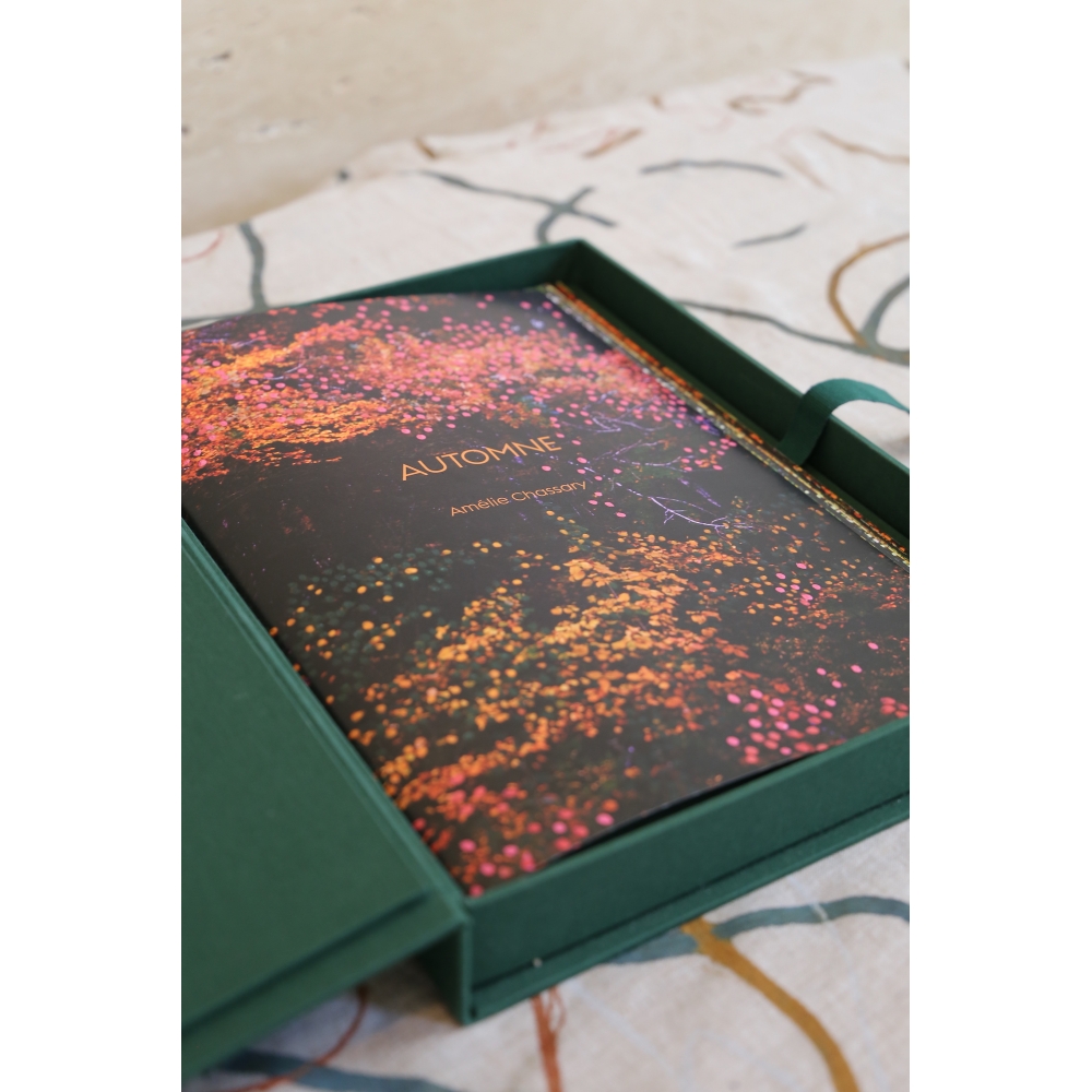 automne-amelie-chassary automne-amelie-chassary