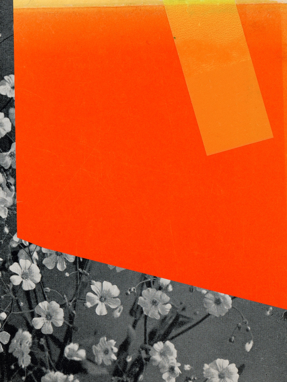 Gypso Orange More