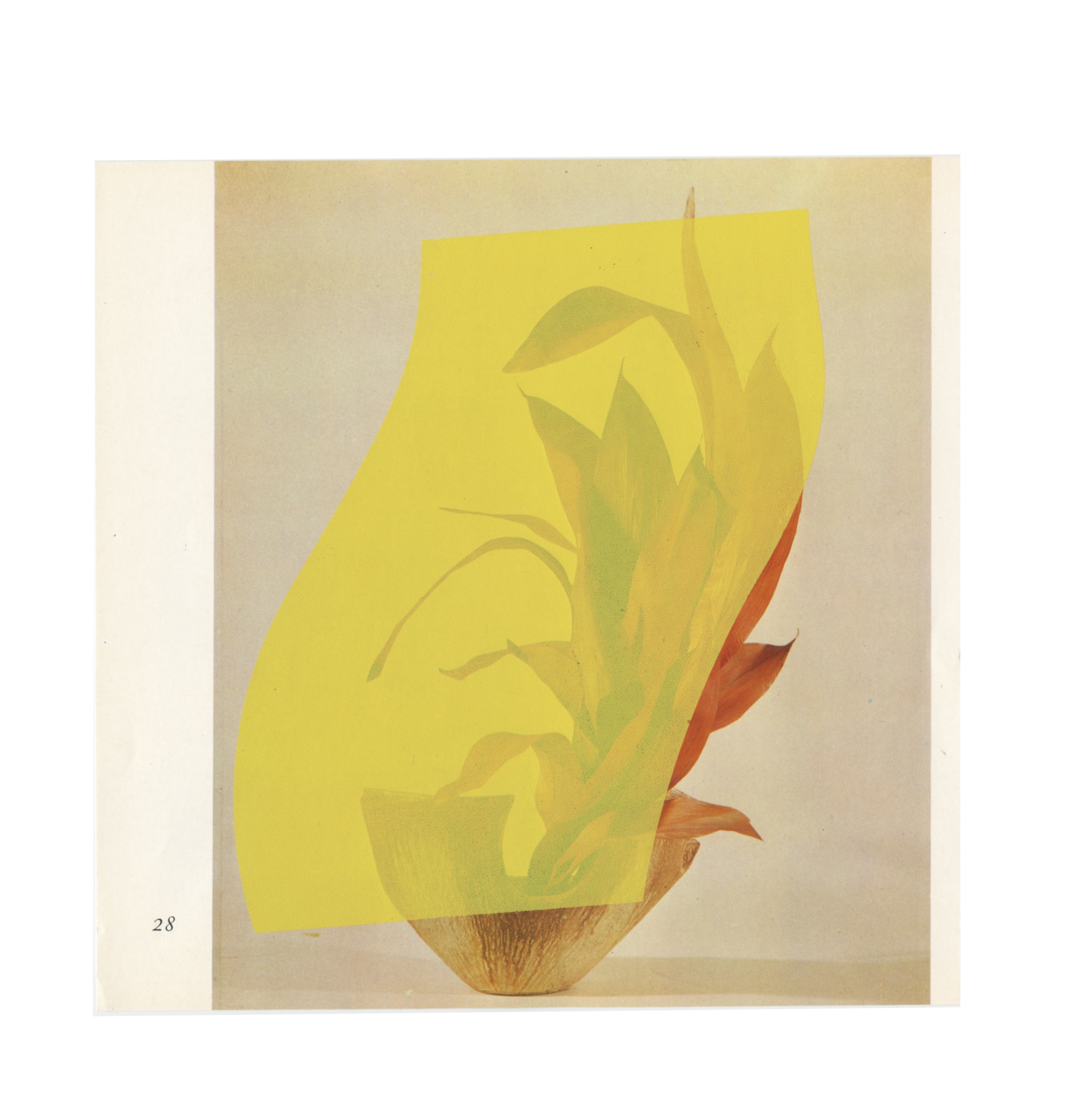 Ikebana 44 - The poetry of leaves