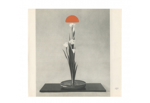 Ikebana 50 - The poetry of leaves