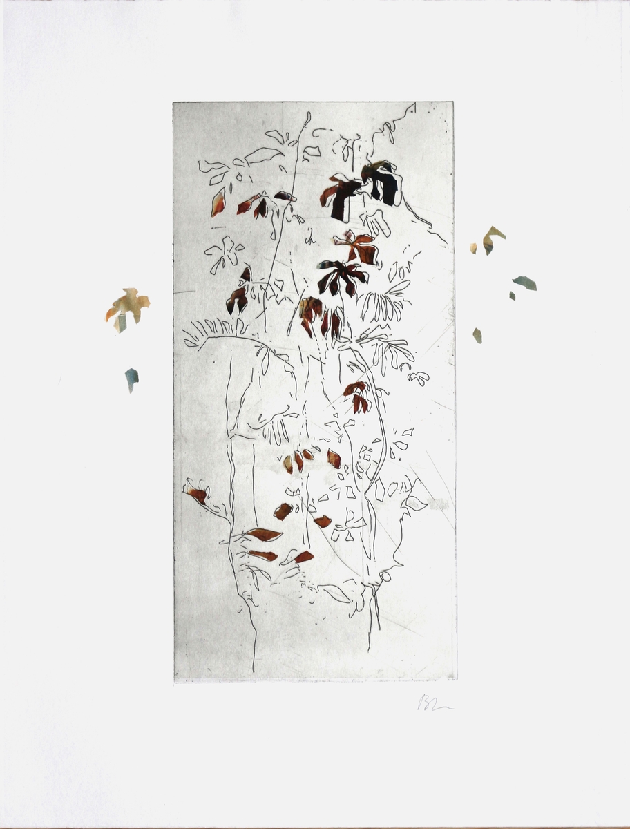 Isabelle Beraut