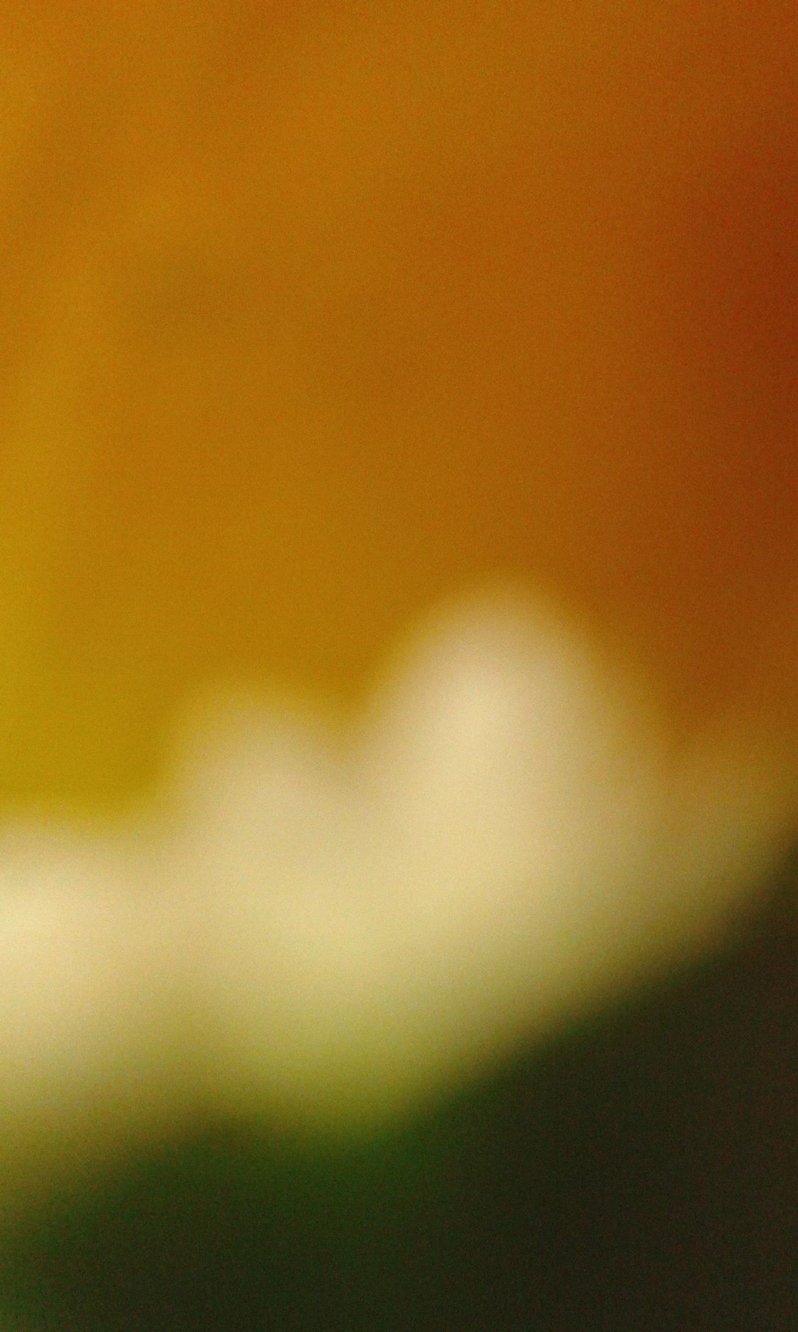 Photodiaprure Jaune vert