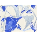 Mistral Blue