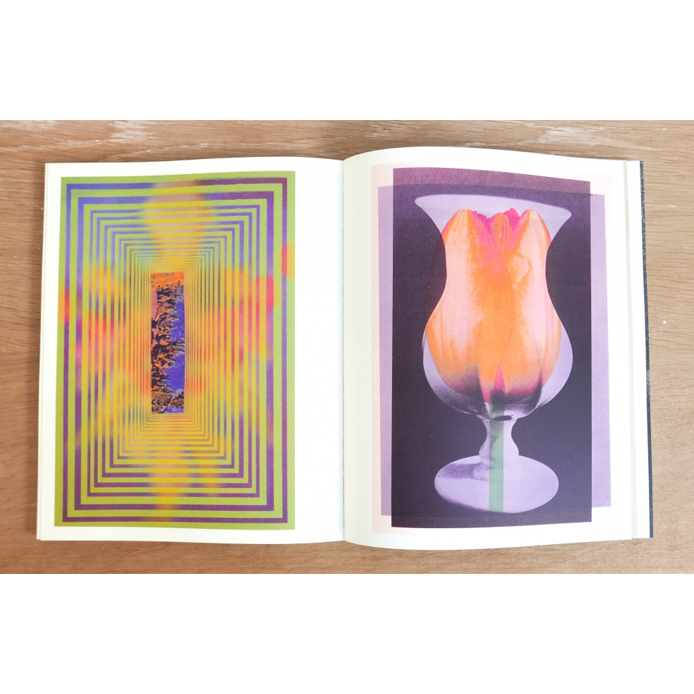 Apophenia - Julie Wolfe Apophenia - Julie Wolfe