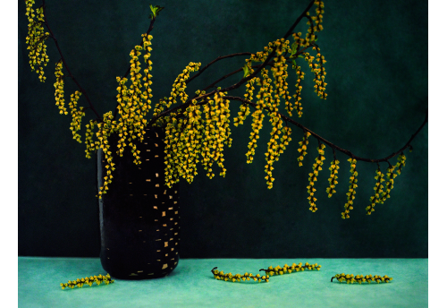 Bouquet, Grappes Jaune 