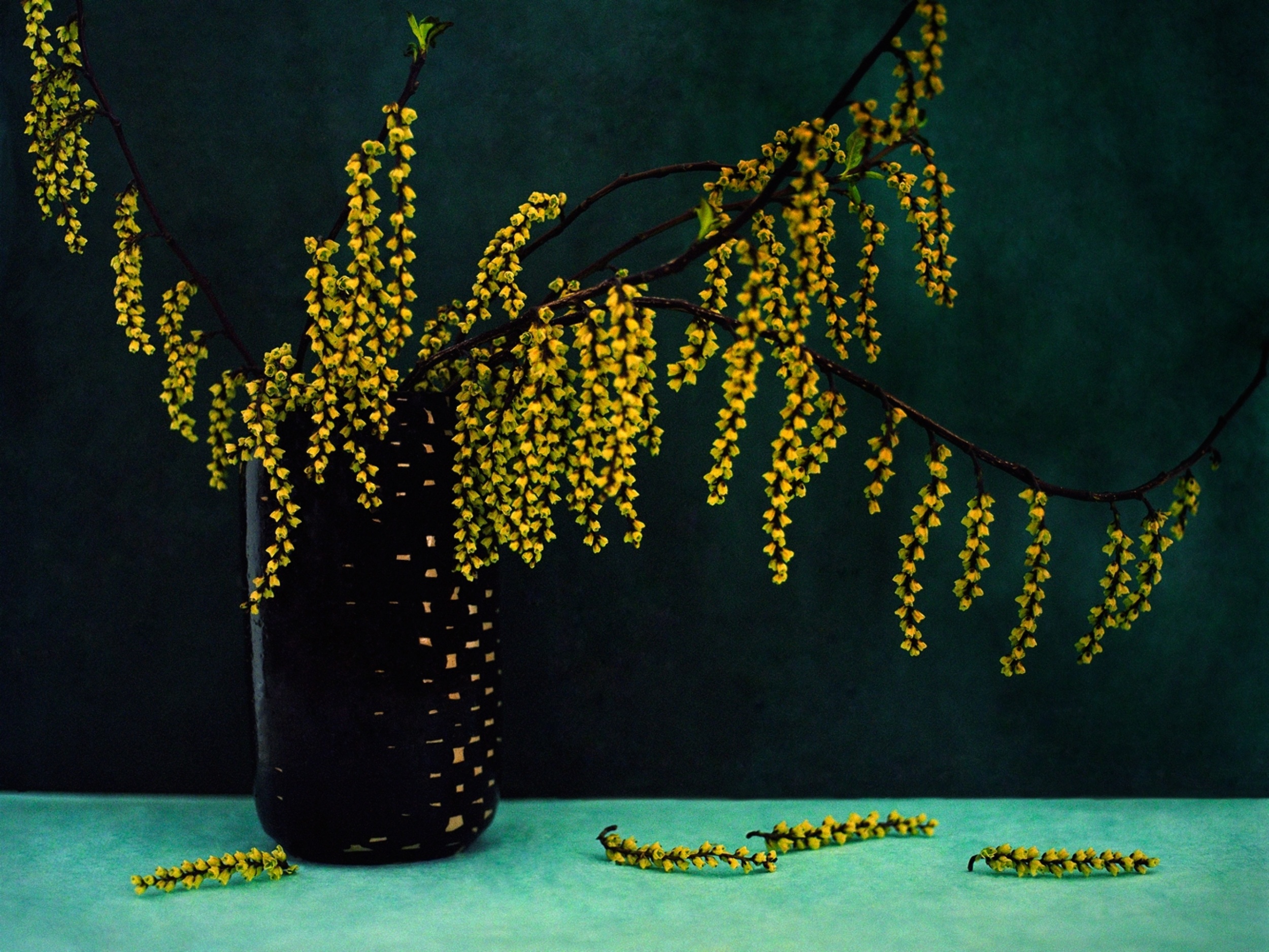 Bouquet, Grappes Jaune 