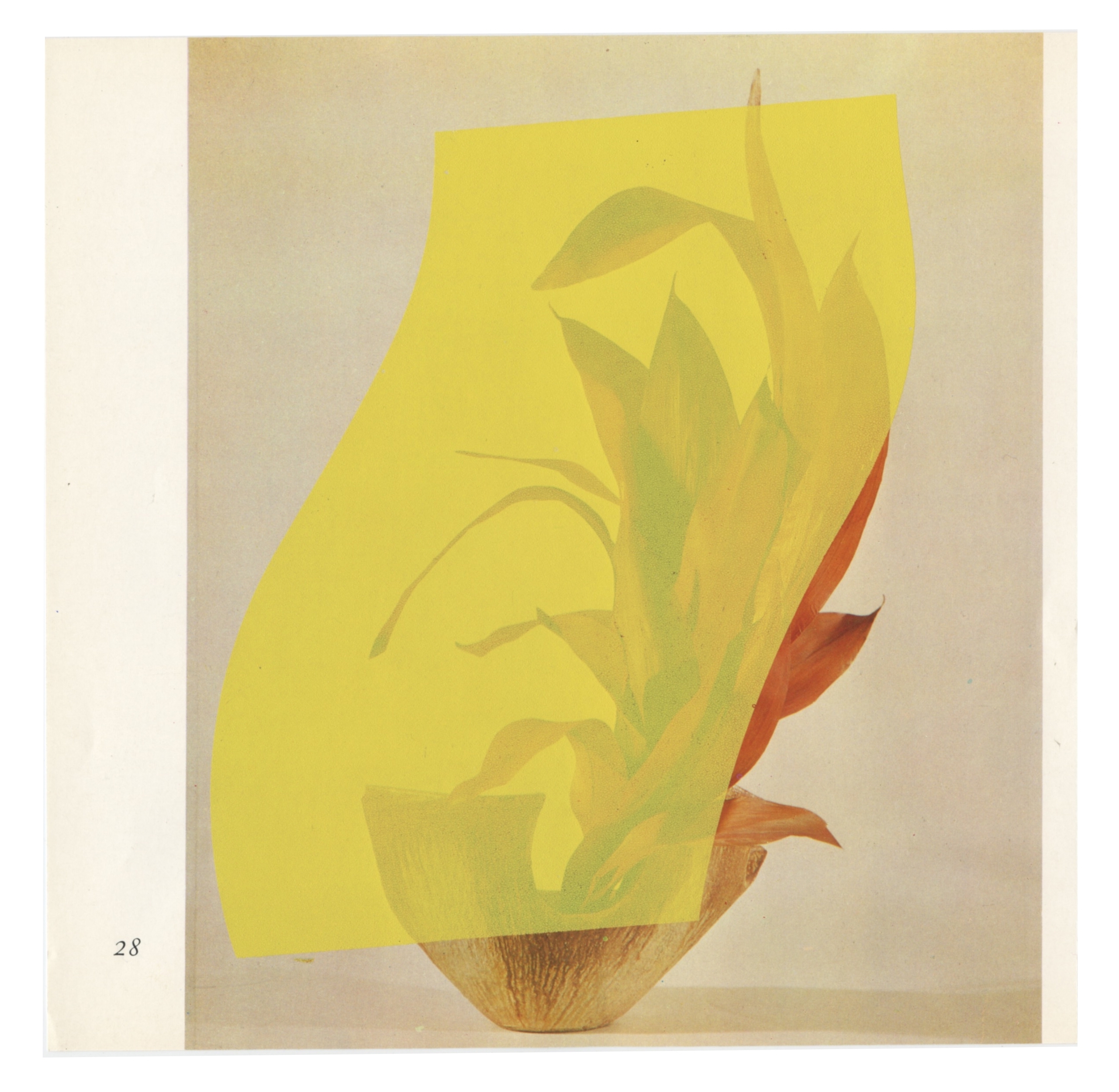 Ikebana 44 - The poetry of leaves