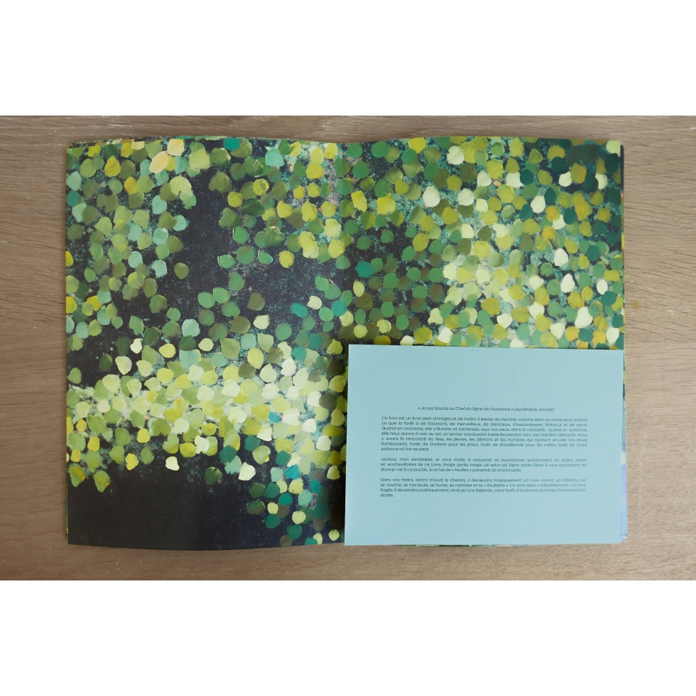 automne-amelie-chassary automne-amelie-chassary