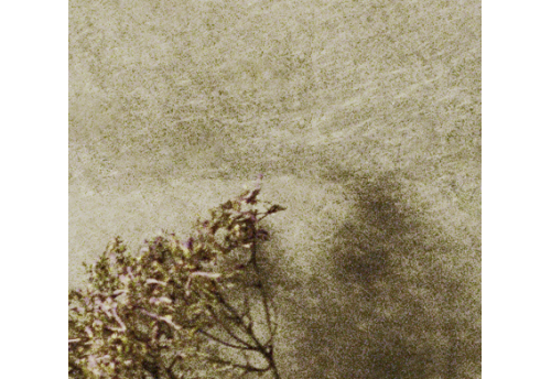 horizons 12