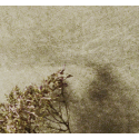 horizons 12