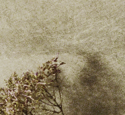 horizons 12