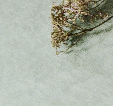horizons 12