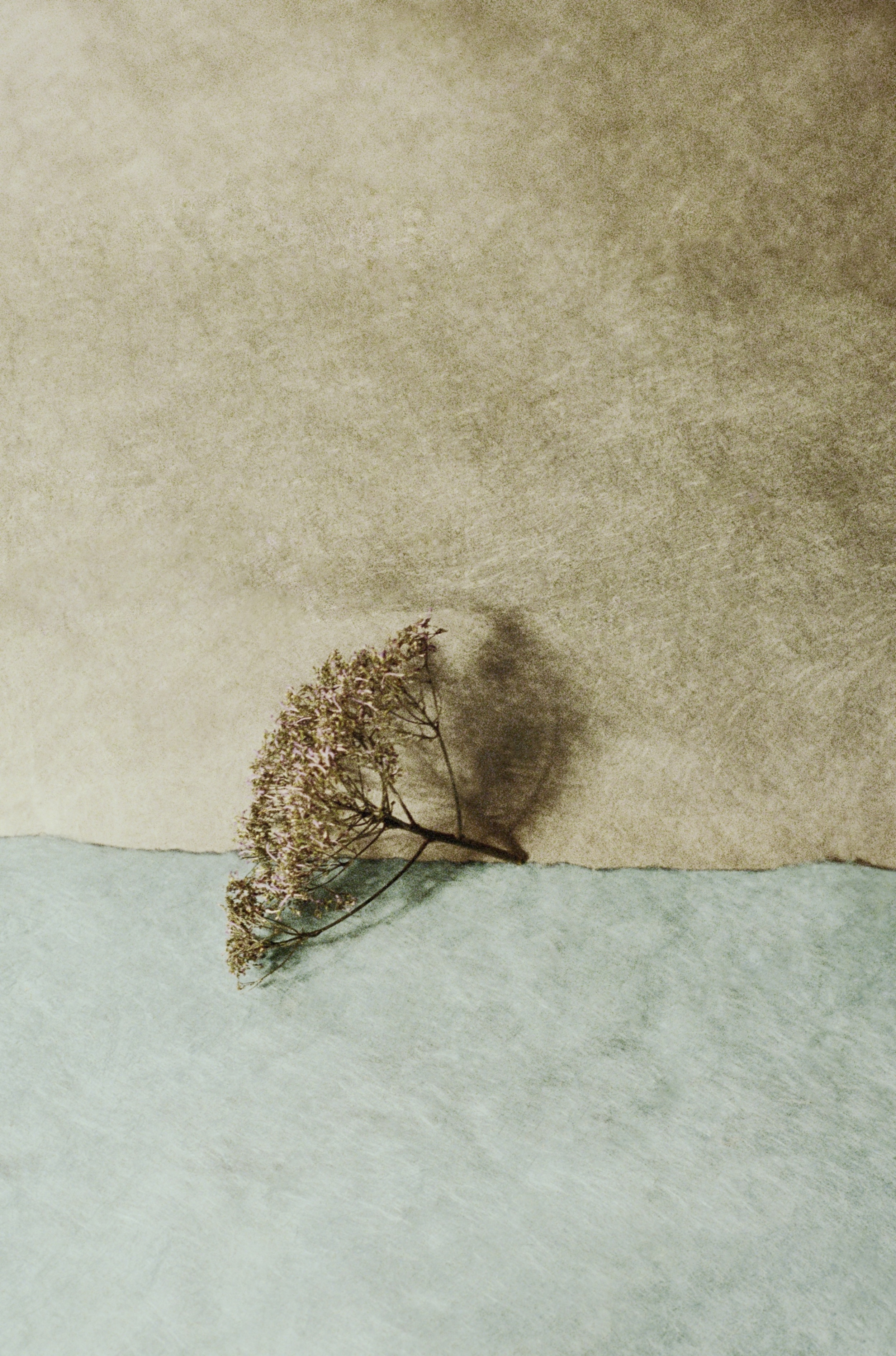 horizons 12