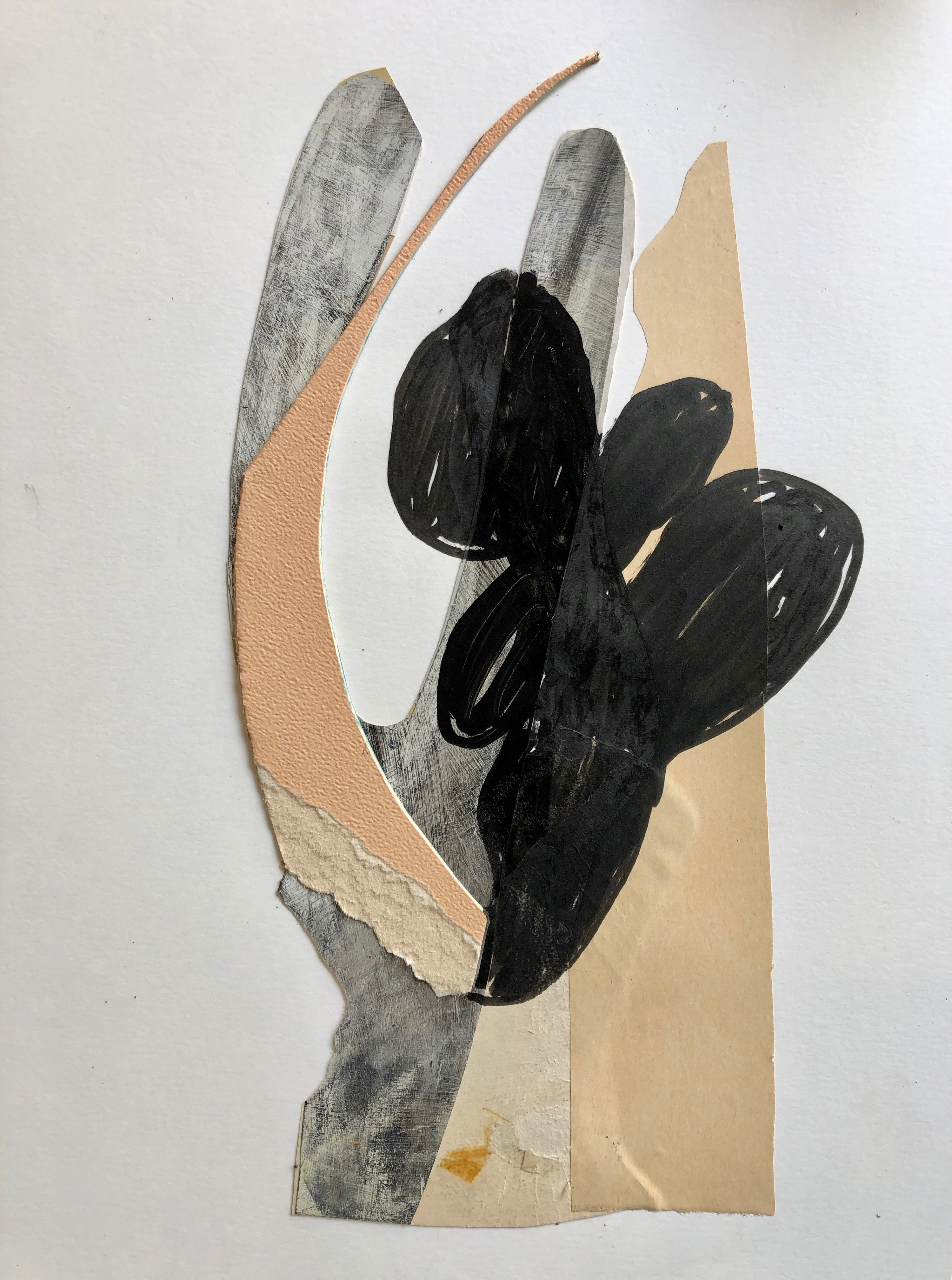 Fleur de désert 