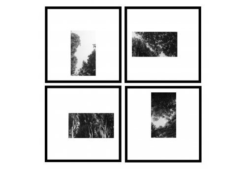 fragments 2a