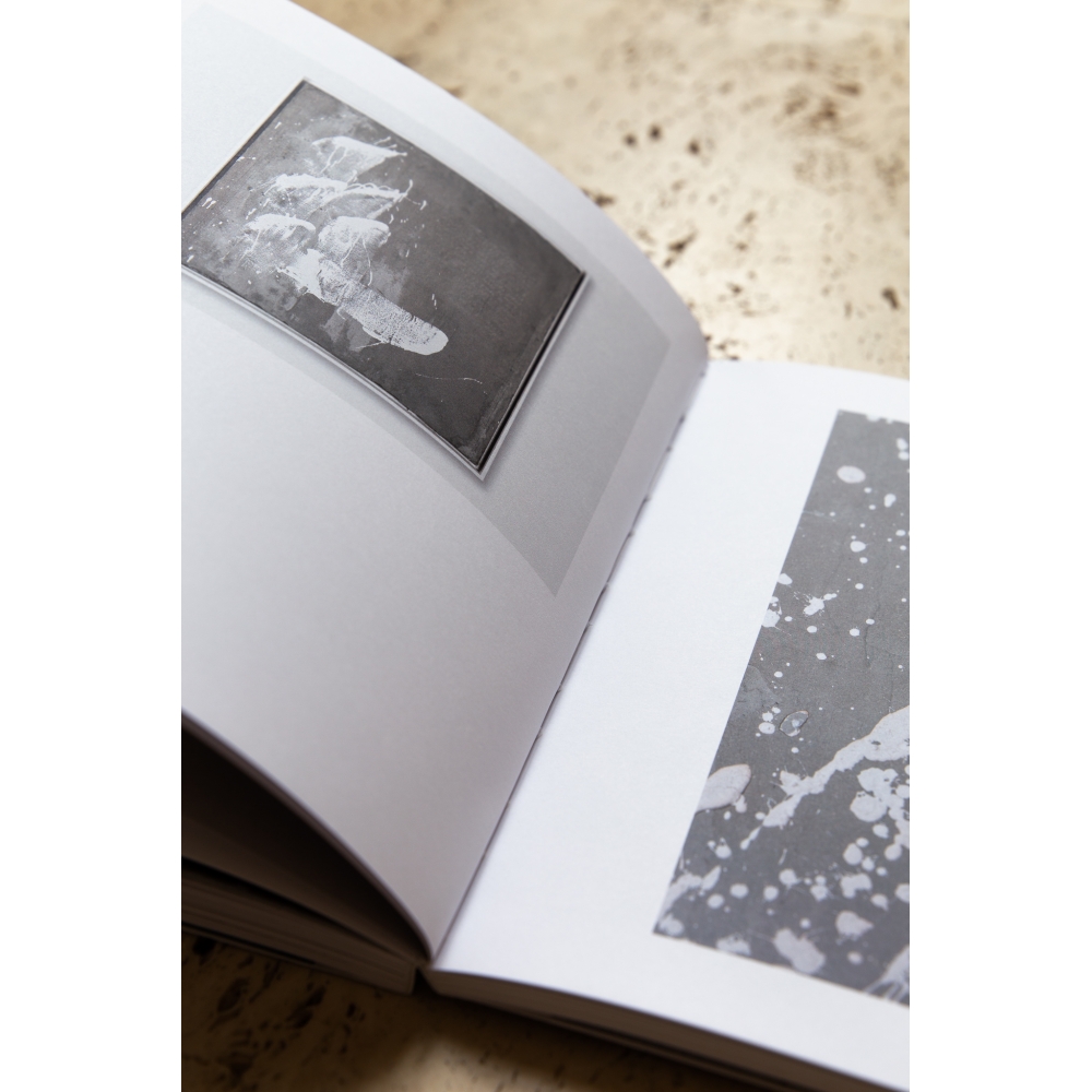 monographie elisabeth raphael monographie elisabeth raphael