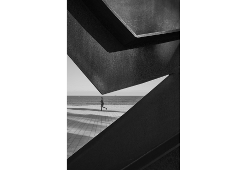Paseos 6