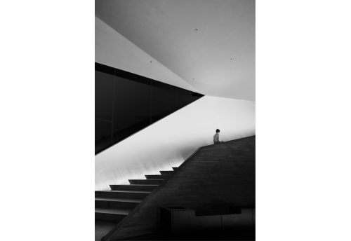 Paseos 8 - (small format)