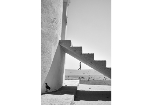 Paseos 10 - (small format)
