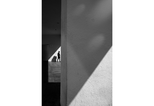 Paseos 11 - (small format)