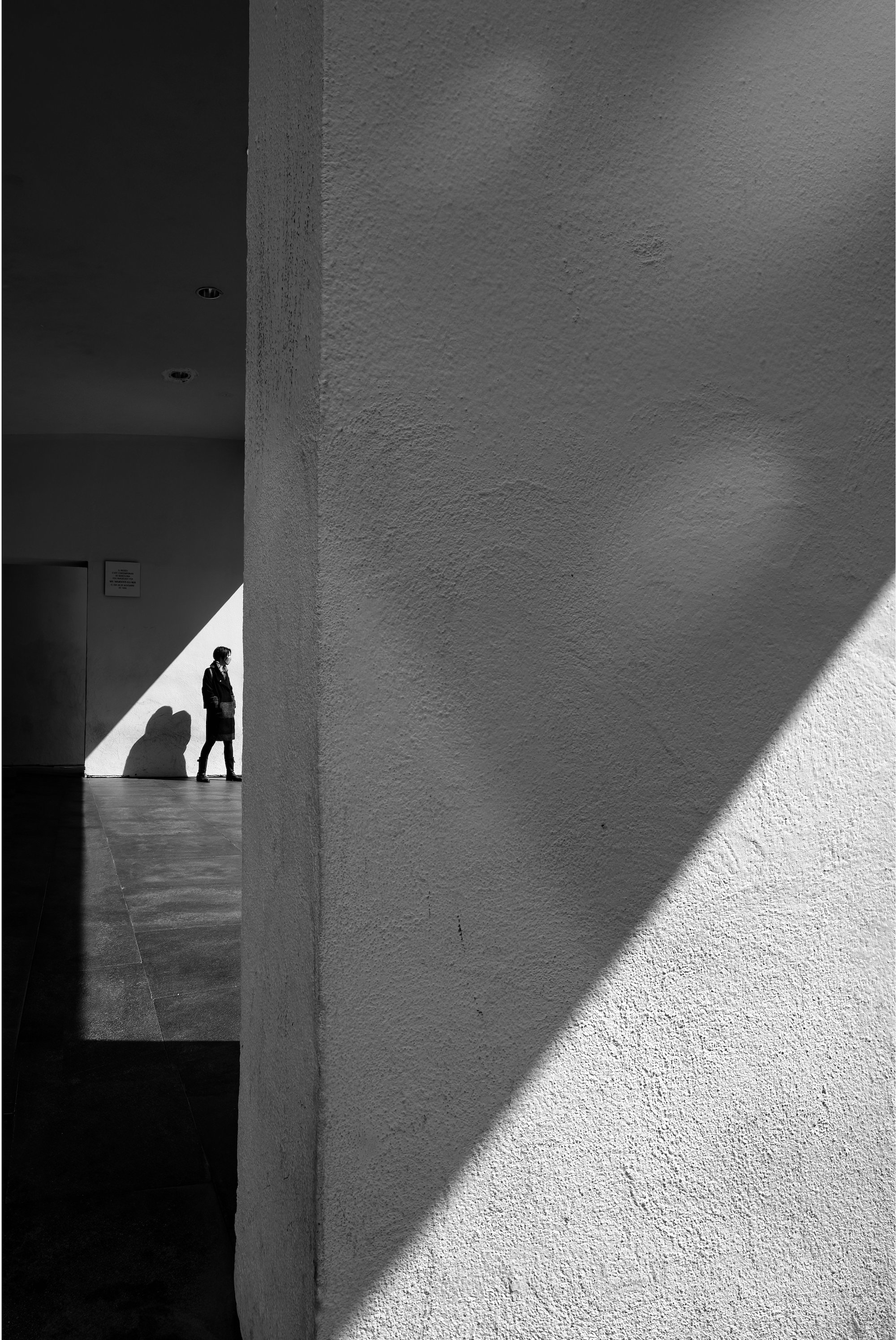 Paseos 11 - (small format)