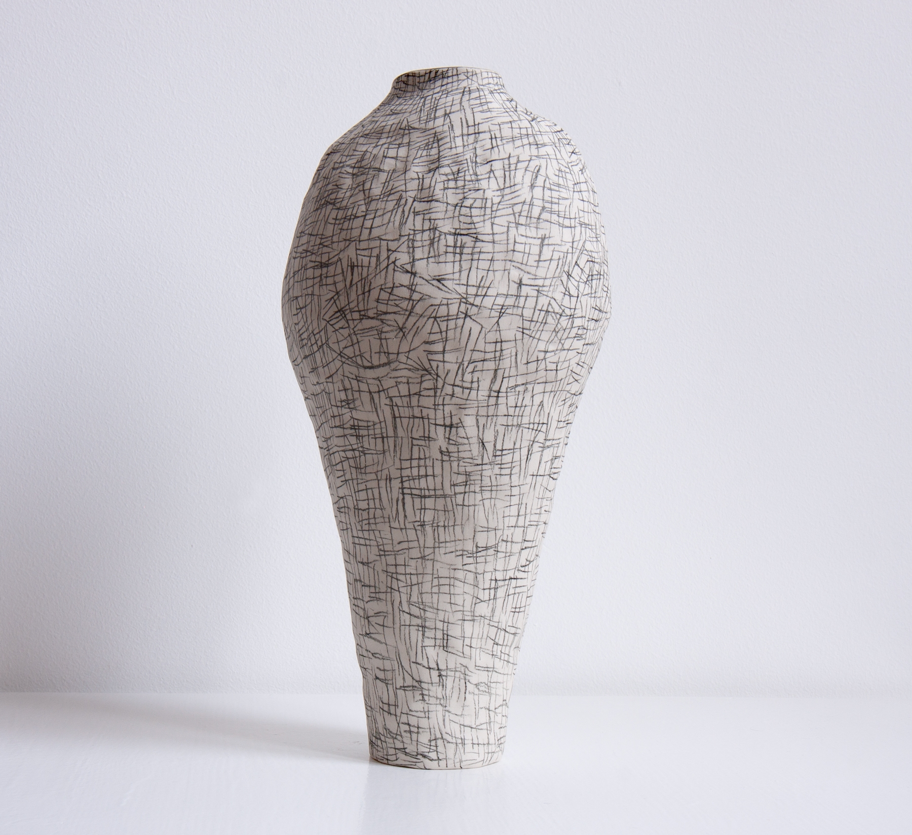 Regno animale [RA_07_24]