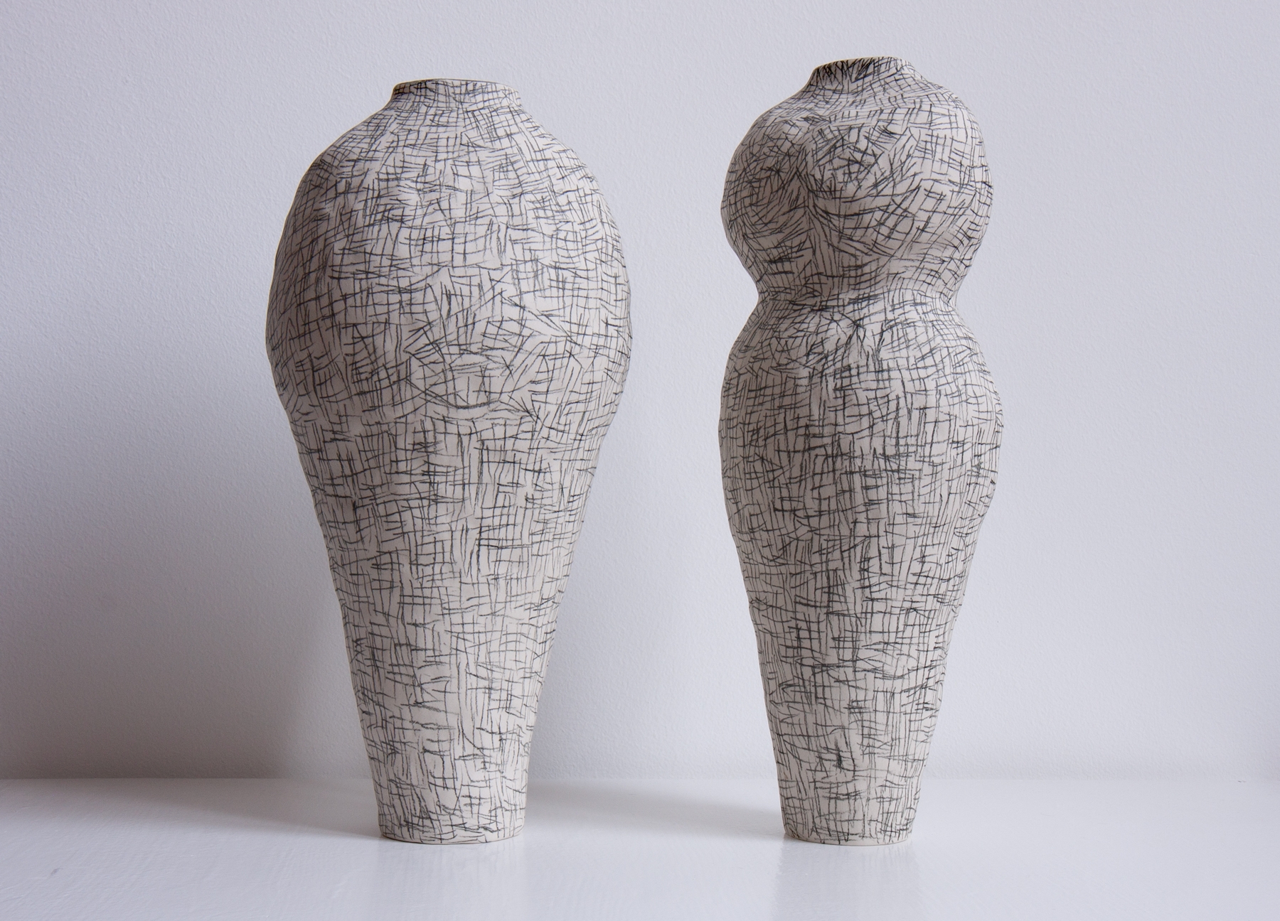 Regno animale [RA_07_24]