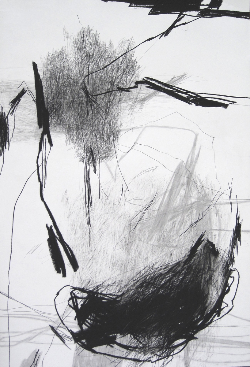 APPROCHES - 12 06 2011.