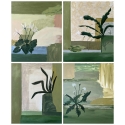 Herbarium