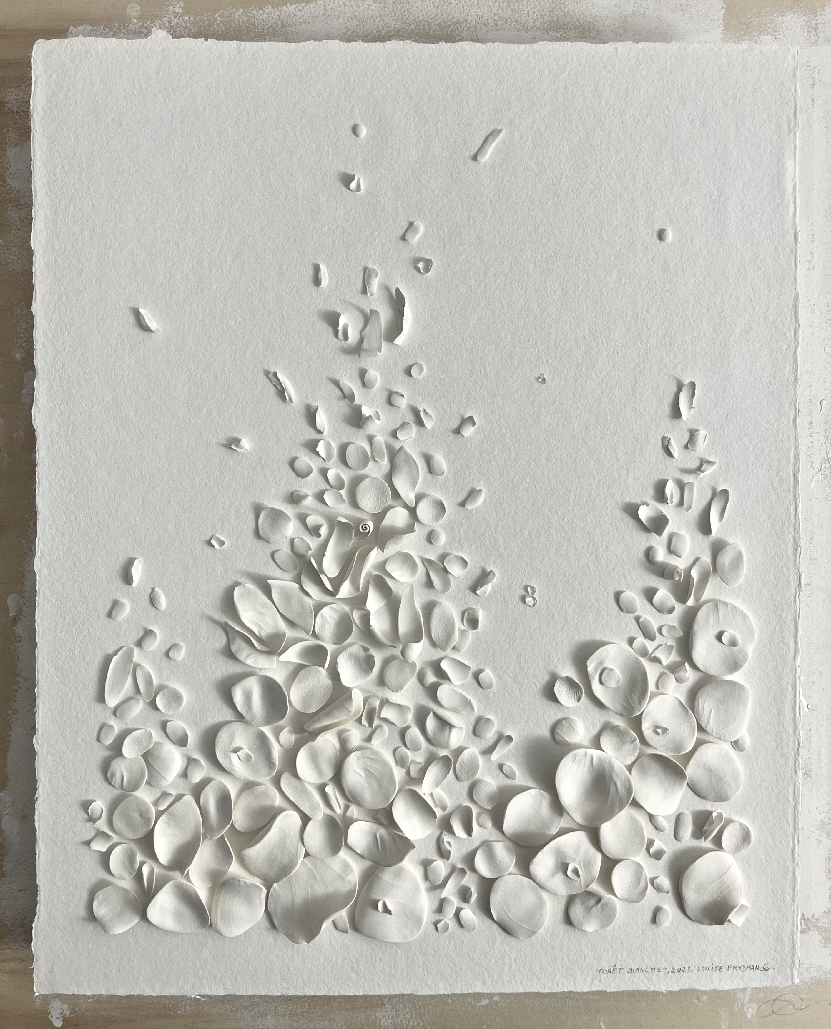 Forêt blanche