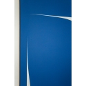 Blue Tear
