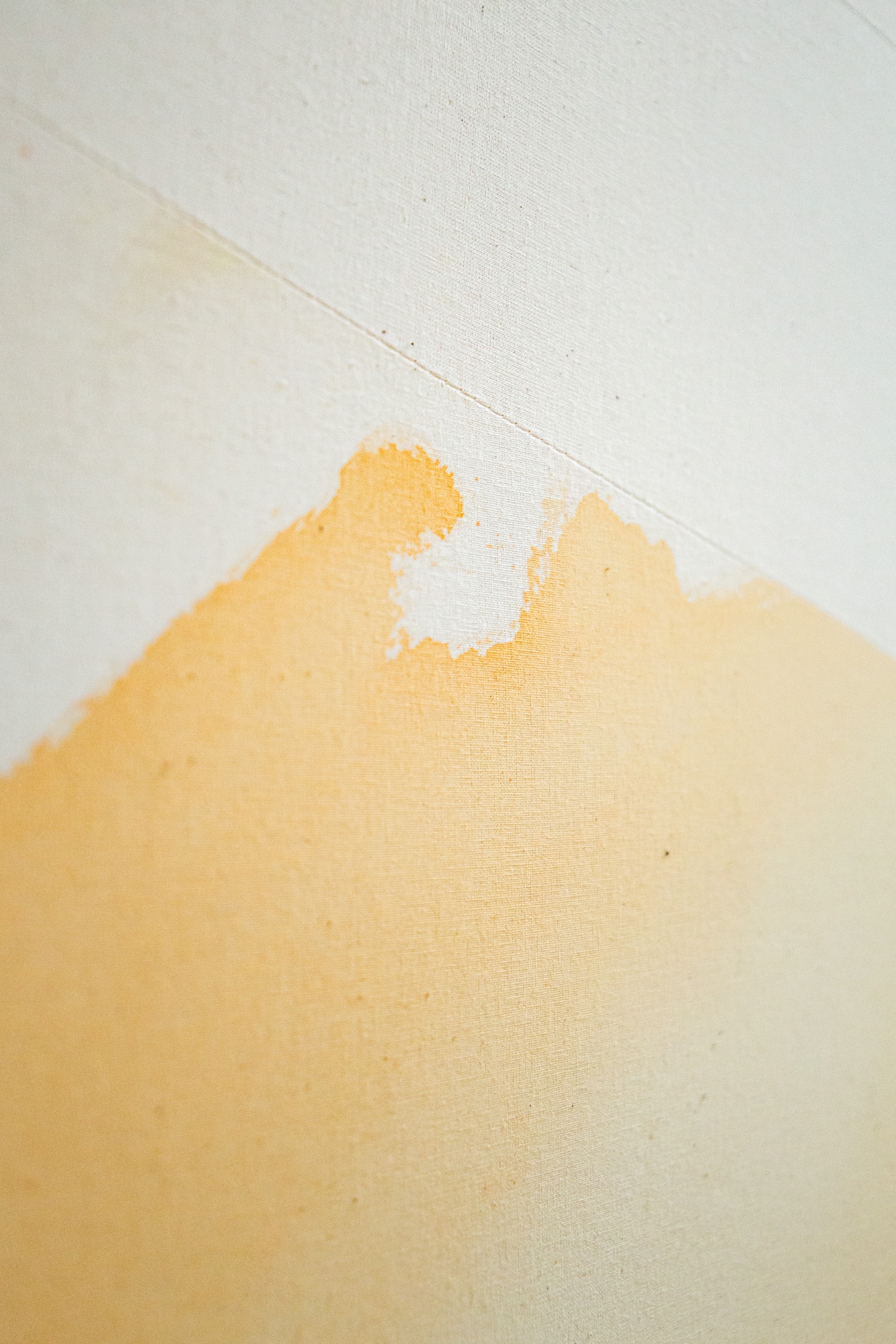 Fin d'été dans le jardin de la maison du bord de la mer