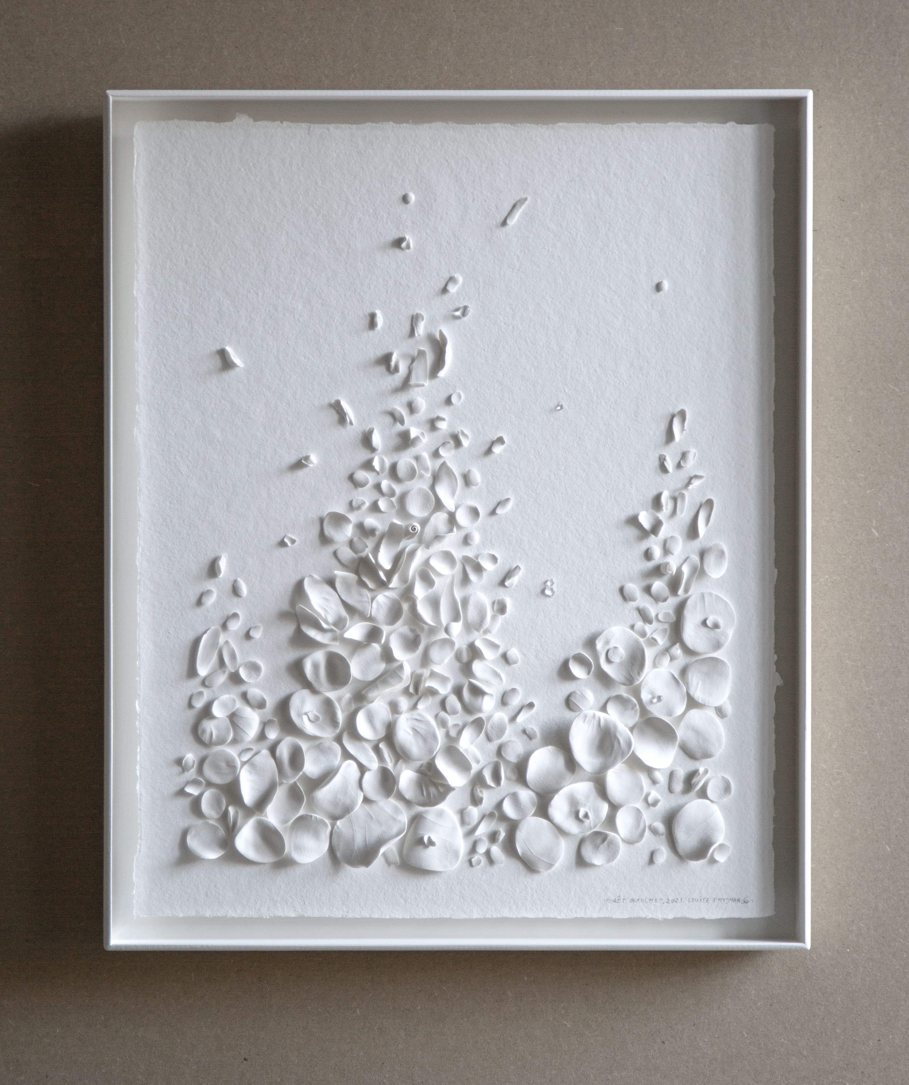 Forêt blanche