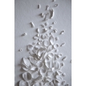 Forêt blanche