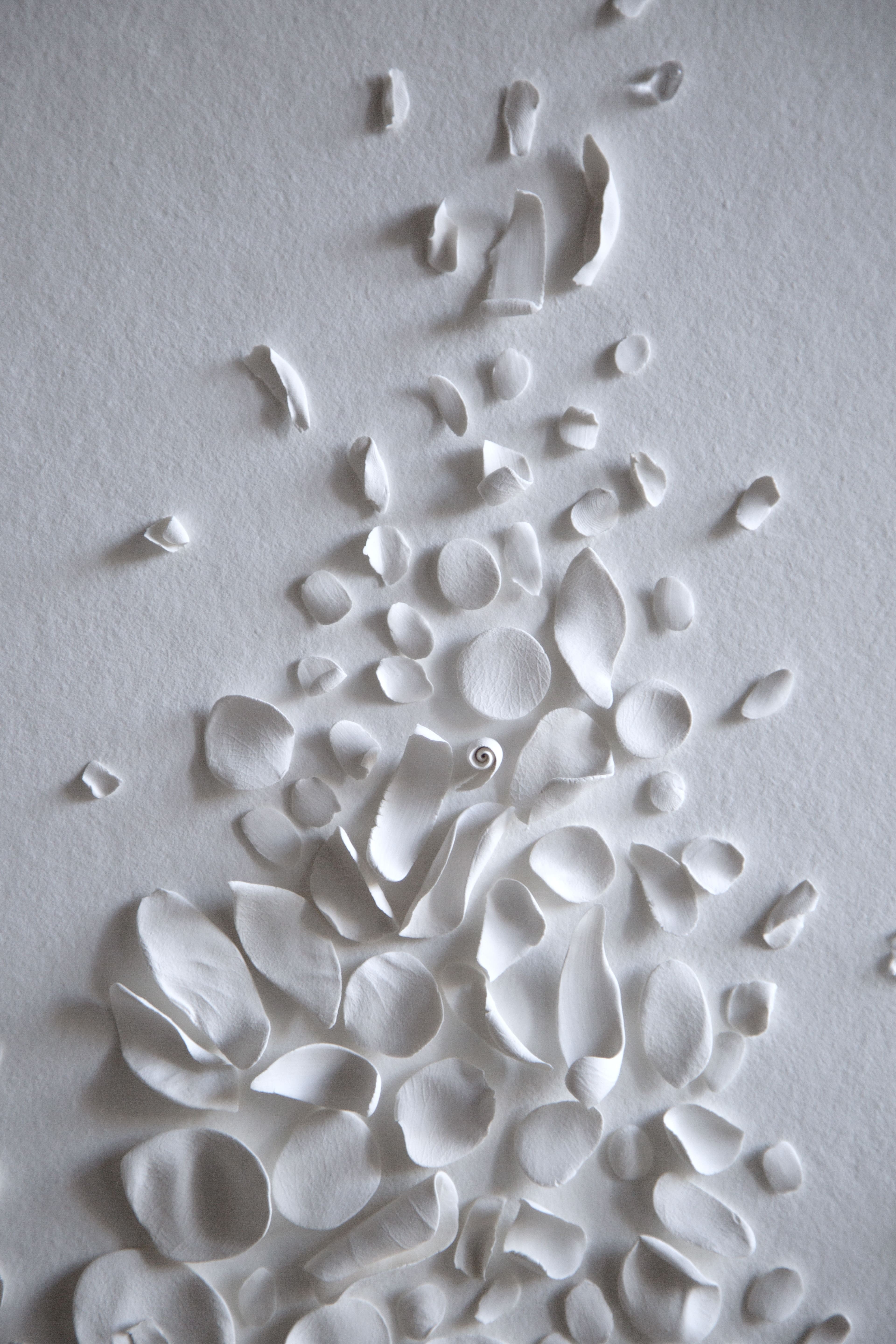 Forêt blanche