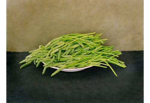 EDLS - Asperges