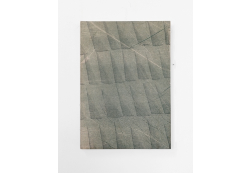 Translucency in ash green