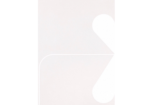 Papier 2433