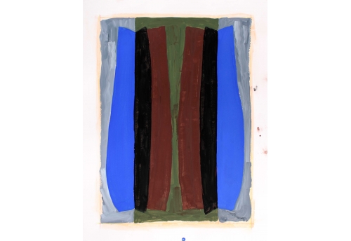 Attrape Couleurs G29