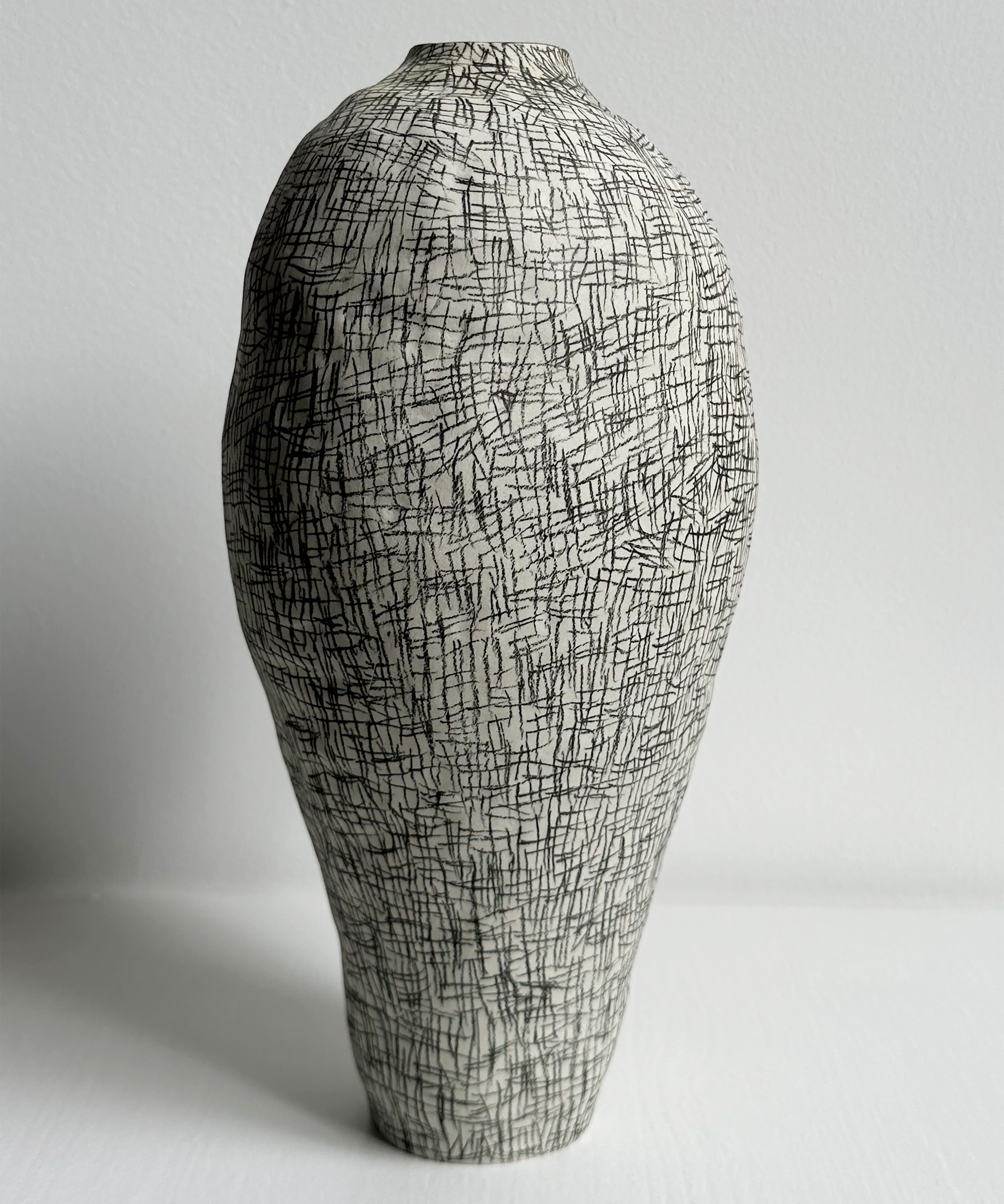 Regno animale [RA_07_37]